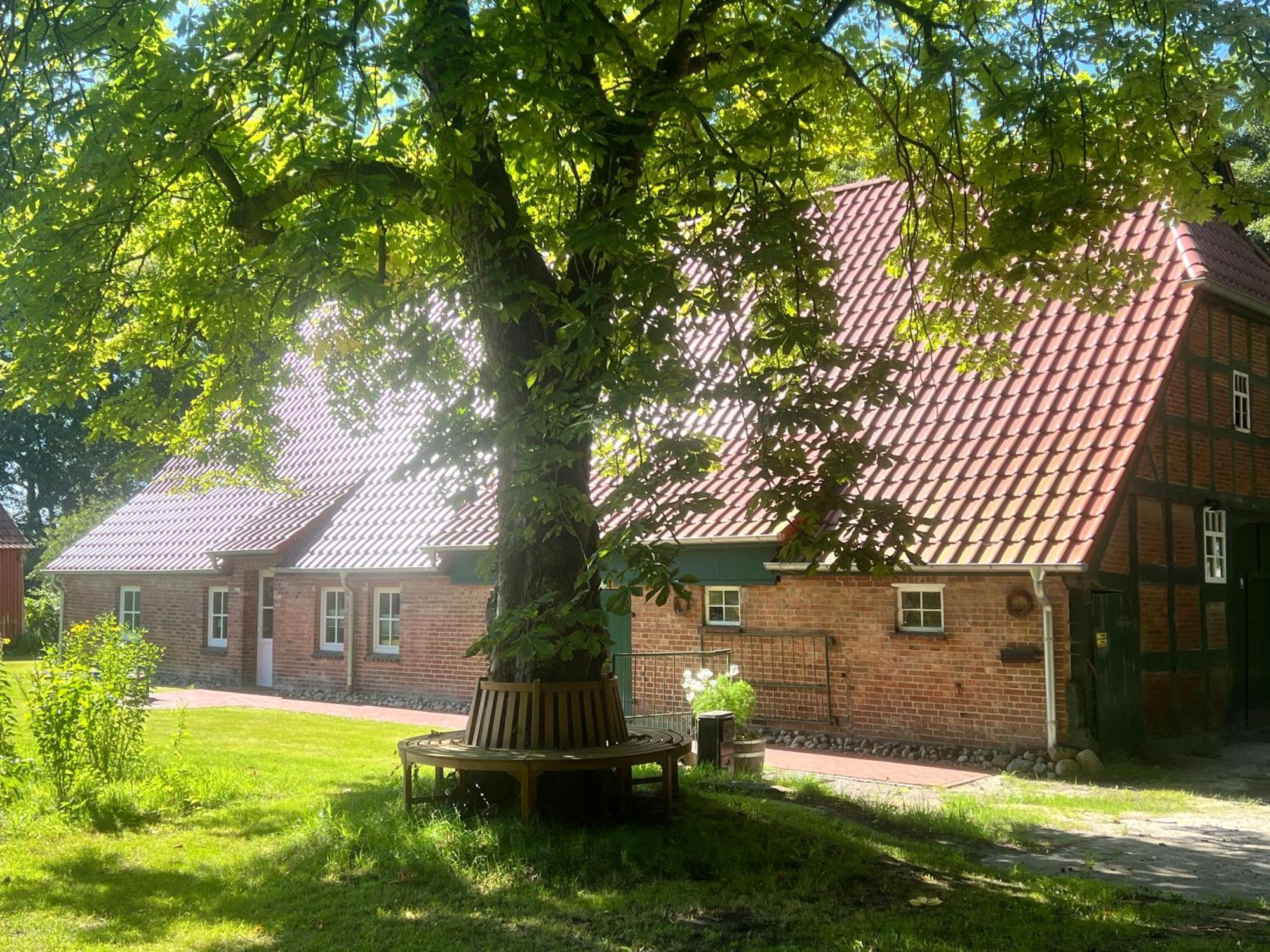 Ferienwohnung Mit Garten In Meyenburg - Keine Monteure Schwanewede Zewnętrze zdjęcie