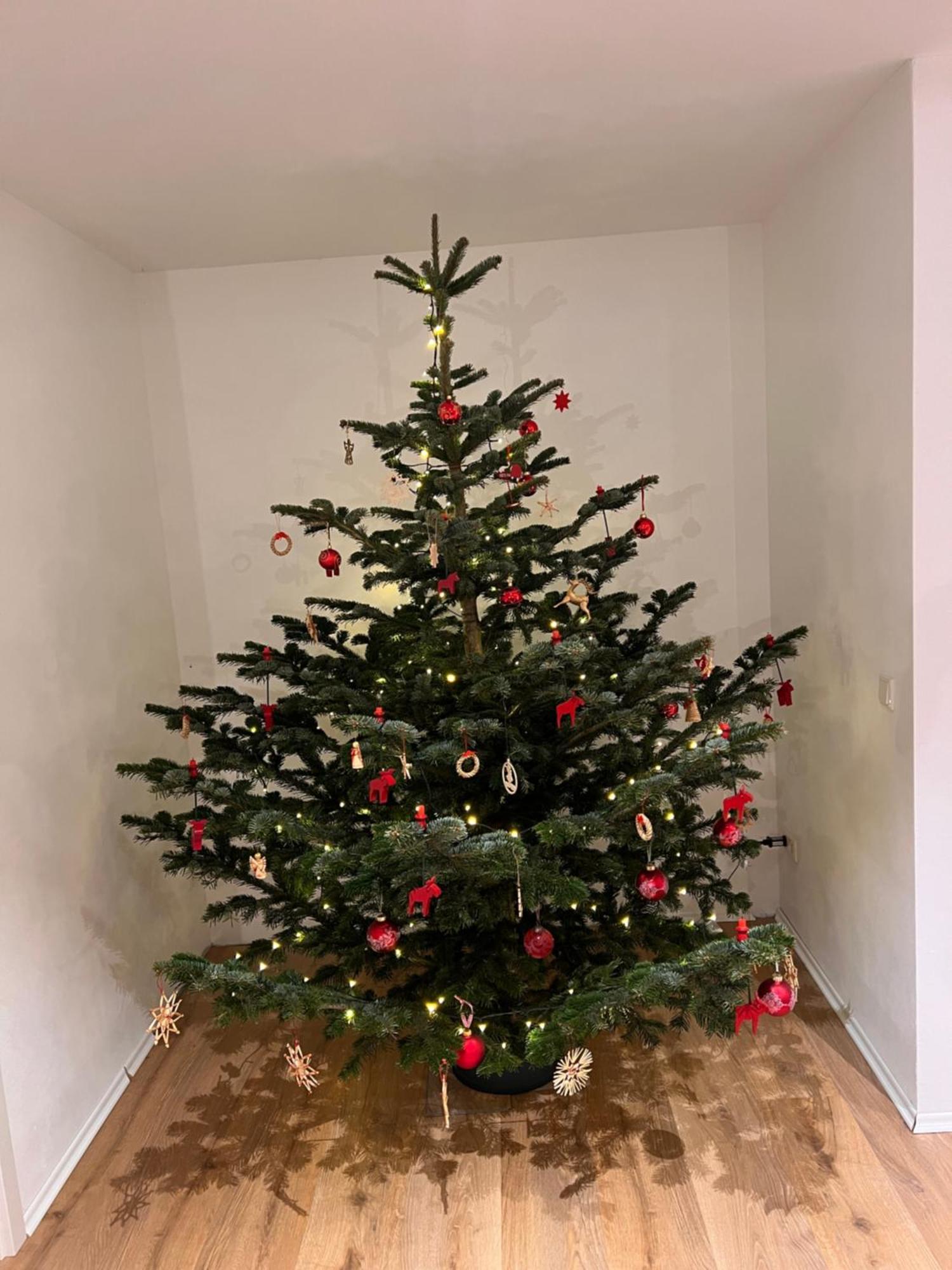 Ferienwohnung Mit Garten In Meyenburg - Keine Monteure Schwanewede Zewnętrze zdjęcie